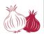 Resonance Mart Genral trading company – company logo, company info header