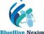 Bluehive Nexim  – company logo, company info header