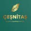CESNITAS GIDA SAN VE TIC LTD – company logo, company info header