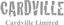 CARDVILLE LIMITED – company logo, company info header