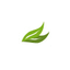 DARSENA  IMPORT, S.L. – company logo, company info header