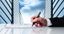 ACCEDE HEALTHCARE INDIA PRIVATE LIMITED – company logo, company info header