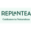 REPLANTEA – company logo, company info header