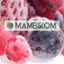 MAMBIKOM AGRAR LTD – company logo, company info header