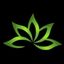 Lux Medical Spa – company logo, company info header