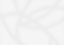DRINKS21 LTD – company logo, company info header