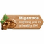 MIGATRADE – company logo, company info header