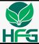 Hisham Fawzy Group (HFG) – company logo, company info header