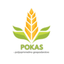 OPG POKAS – company logo, company info header
