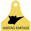 AYVETSAN A.S – company logo, company info header