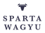 BLOEMFONTEIN ABATTOIR PTY LTD – company logo, company info header