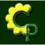 COMPTOIR PAULINOIS – company logo, company info header