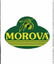 SENOL GIDA SANAYI A.S. – company logo, company info header