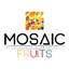 MOSAIC FRUITS S.L – company logo, company info header