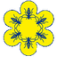 SOCIEDAD COOPERATIVA APICOLA DE ESPAÑA – company logo, company info header