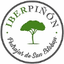 IBERPIÑON SL – company logo, company info header