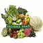 PROVENCE PRIM – company logo, company info header