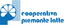 PIEMONTE LATTE – company logo, company info header