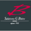 SALAISONS G. BLAISE – company logo, company info header