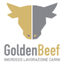 GOLDEN BEEF S.R.L. – company logo, company info header