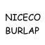 Anji Nice Import and Export Co., Ltd. – company logo, company info header