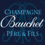 BAUCHET PERE ET FILS – company logo, company info header