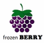 FROZEN BERRY LLC – company logo, company info header