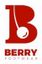 Berry Plus General Trading L.L.C  – company logo, company info header