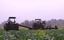 AG EXPORT LLC – company logo, company info header