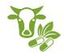 AMY SANTE INC – company logo, company info header