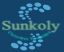 Sunkoly Electronic Co., Ltd. – company logo, company info header