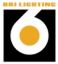 Shanghai Bri Lighting Electrical & Equipment Co., Ltd – company logo, company info header