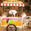 GELATI VAN HOUCKE – company logo, company info header