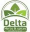 Delta Company For Manufactur & Export Herbs And Spices  – company logo, company info header