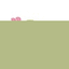 FLOWERS BY POST UK – company logo, company info header