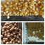 AGRI EXPORT UKRAINE – company logo, company info header