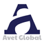 AVET GLOBAL – company logo, company info header