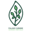 AZIENDA AGRICOLA PALANO CARMINE – company logo, company info header
