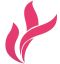 YC Clothing Co., Ltd. – company logo, company info header