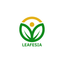 Leafesia Space – company logo, company info header