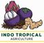 Indo Tropical – company logo, company info header