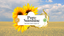 Pure Sunshine – company logo, company info header