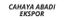 Cahaya Abadi Ekspor – company logo, company info header