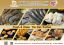 Global Marine Frozen Foods Co., Ltd. – company logo, company info header