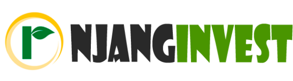 Njang Investments Limited company banner image from Kenya