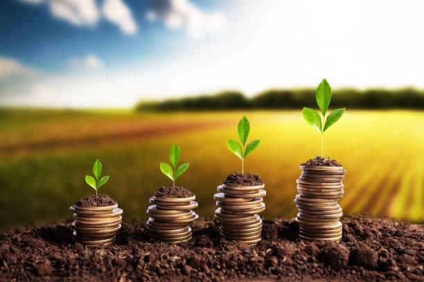 BF GLOBAL TRADING (PTY) LTD company banner image from South Africa