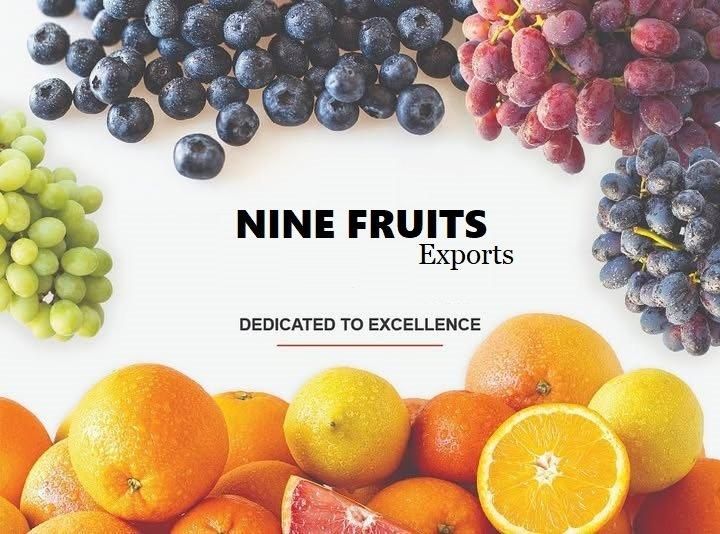 NINE FRUITS EXPORTS (PTY) LTD company banner image from South Africa