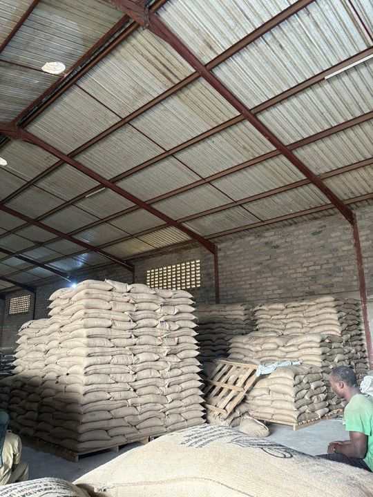 LEAFY BREWS (U) LIMITED  (Uganda) – store wallpaper, premium supplier store header