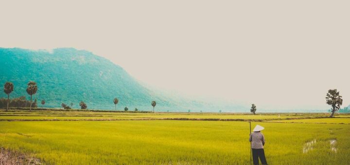 HOA CUONG AGRICULTURAL JSC  company banner image from Vietnam