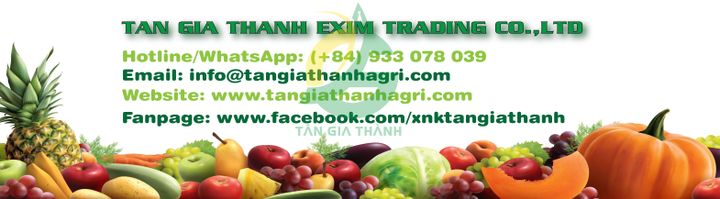 Công ty TNHH Thương Mại Xuất Nhập Khẩu Tân Gia Thành company banner image from Vietnam